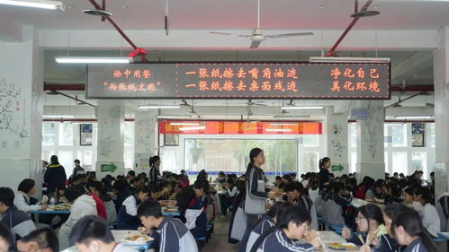 重庆市徐悲鸿中学 守护校园食品安全,徐中在行动