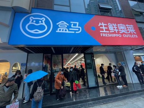 减少食品浪费 重庆首家生鲜奥莱店开业