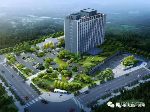 重庆渝东医院成功举办2018年护士长述职和岗位竞聘汇报会