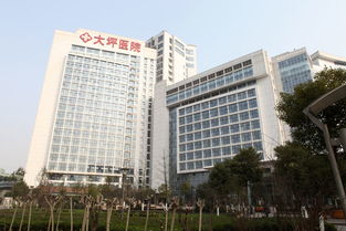 重庆第三军医大学大坪医院的教学科研
