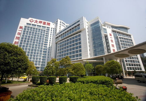 重庆大坪医院住院医师规范化培训招生简章
