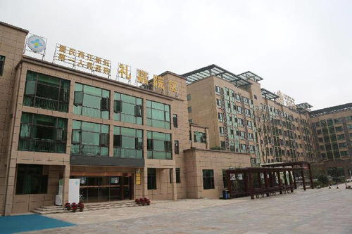 三年筹建,两次升级,重庆两江新区第一人民医院康复养老中心盛大启幕