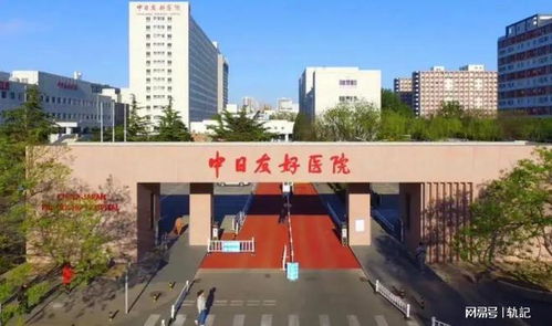 未来日本沉没 5个国家出手相助